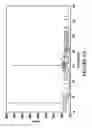 Fig. 06 - Polypeptide libraries with a predetermined scaffold