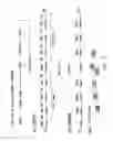 Fig. 09 - Methods for generating polynucleotides having desired characteristics by iterative selection and recombination