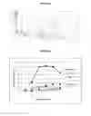 Fig. 06 - Method to recover bioactive compounds