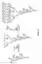 Fig. 07 - Biomolecules having multiple attachment moieties for binding to a substrate surface