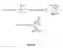 Fig. 09 - Biomolecules having multiple attachment moieties for binding to a substrate surface