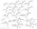 Fig. 01 - Combinatorial production of nucleotide and nucleoside (XiTP) analogues