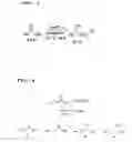 Fig. 04 - Ligand iron catalysts for selective hydrogenation
