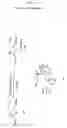 Fig. 04 - Pharmaceutical intermediate for synthesizing ACE inhibitors and the use thereof