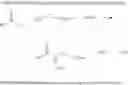 Fig. 02 - Process for preparing acylglycinates by means of direct oxidation