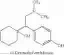 Fig. 02 - Process for producing 1-[2-(dimethylamino)-1-(4-phenol)ethyl]cyclohexanol