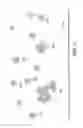 Fig. 02 - Apparati and Method for Remediating Biologically Active Particles