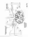 Fig. 06 - Transcranial magnetic stimulation field shaping