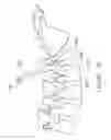 Fig. 23 - Pedicle guided retractor system