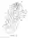Fig. 35 - Pedicle guided retractor system
