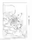 Fig. 40 - Pedicle guided retractor system