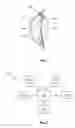 Fig. 02 - Intraocular pressure sensor