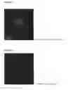 Fig. 02 - USE OF FLUORESCENT PHOSPHOLIPID ETHER COMPOUNDS IN BIOPSIES