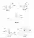 Fig. 04 - SYSTEMS AND METHODS FOR ANALYSIS AND TREATMENT OF A BODY LUMEN