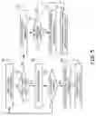 Fig. 06 - Detecting electrical conduction abnormalities in a heart