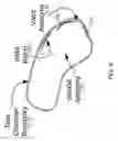 Fig. 09 - Impedance based anatomy generation