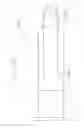 Fig. 19 - FLUID COLLECTION/INJECTION DEVICE HAVING QUICK RELEASE/REMOVABLE DOUBLE-ENDED NEEDLE AND SAFETY SYSTEM