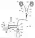 Fig. 01 - Diagnostic methods and systems based on urine analysis