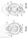 Fig. 44 - Integrated meter for analyzing biological samples
