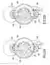 Fig. 47 - Integrated meter for analyzing biological samples