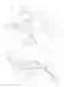 Fig. 02 - Neck brace