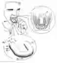 Fig. 01 - SUBLINGUAL ELECTRICAL DRUG DELIVERY