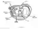 Fig. 06 - MENISCAL DEVICE