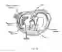 Fig. 09 - MENISCAL DEVICE