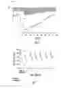 Fig. 06 - Automatic neural stimulation modulation based on motion and physiological activity