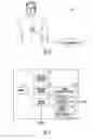 Fig. 07 - Automatic neural stimulation modulation based on motion and physiological activity