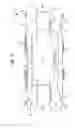 Fig. 09 - Stand alone anterior cage