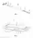 Fig. 02 - Total disc replacement system and related methods