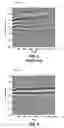 Fig. 08 - Characterizing spatial variability of surface waves in seismic processing