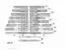 Fig. 07 - Oligomer sequences mapping