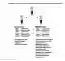 Fig. 01 - COMBINATIONS OF POLYMORPHISMS FOR DETERMINING ALLELE-SPECIFIC EXPRESSION OF IGF2