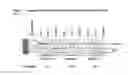 Fig. 06 - COMBINATIONS OF POLYMORPHISMS FOR DETERMINING ALLELE-SPECIFIC EXPRESSION OF IGF2