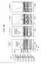 Fig. 06 - Apparatus and method for multi-sensor estimation of a property of an earth formation