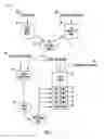 Fig. 04 - Real-time process for targeting trait phenotyping of plant breeding experiments
