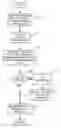 Fig. 01 - Application virtualization