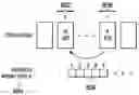 Fig. 01 - Runtime dependence-aware scheduling using assist thread