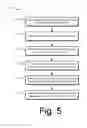 Fig. 06 - Executing native-code applications in a browser