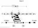 Fig. 07 - Genetically engineered or transgenic rats exhibiting a cancer phenotype due to a disruption of germline tumor suppressor genes