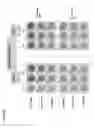 Fig. 33 - MODELS FOR VACCINE ASSESSMENT
