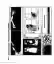 Fig. 02 - WNT PATHWAY MUTATIONS IN CANCER STEM CELLS