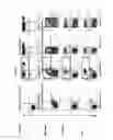 Fig. 07 - WNT PATHWAY MUTATIONS IN CANCER STEM CELLS