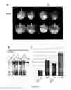Fig. 06 - Protein expression system