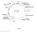 Fig. 08 - Protein expression system