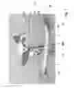 Fig. 02 - Decoy support system and method