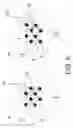 Fig. 06 - Purification structure incorporating a biased electrochemical catalyst system