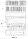Fig. 08 - Pseudorandom binary sequence apparatus and method for in-line inspection tool